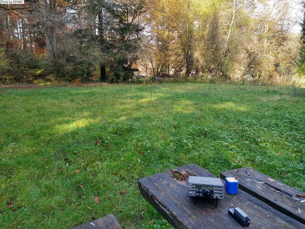 IMG_20241106_131512726_HDR.jpg