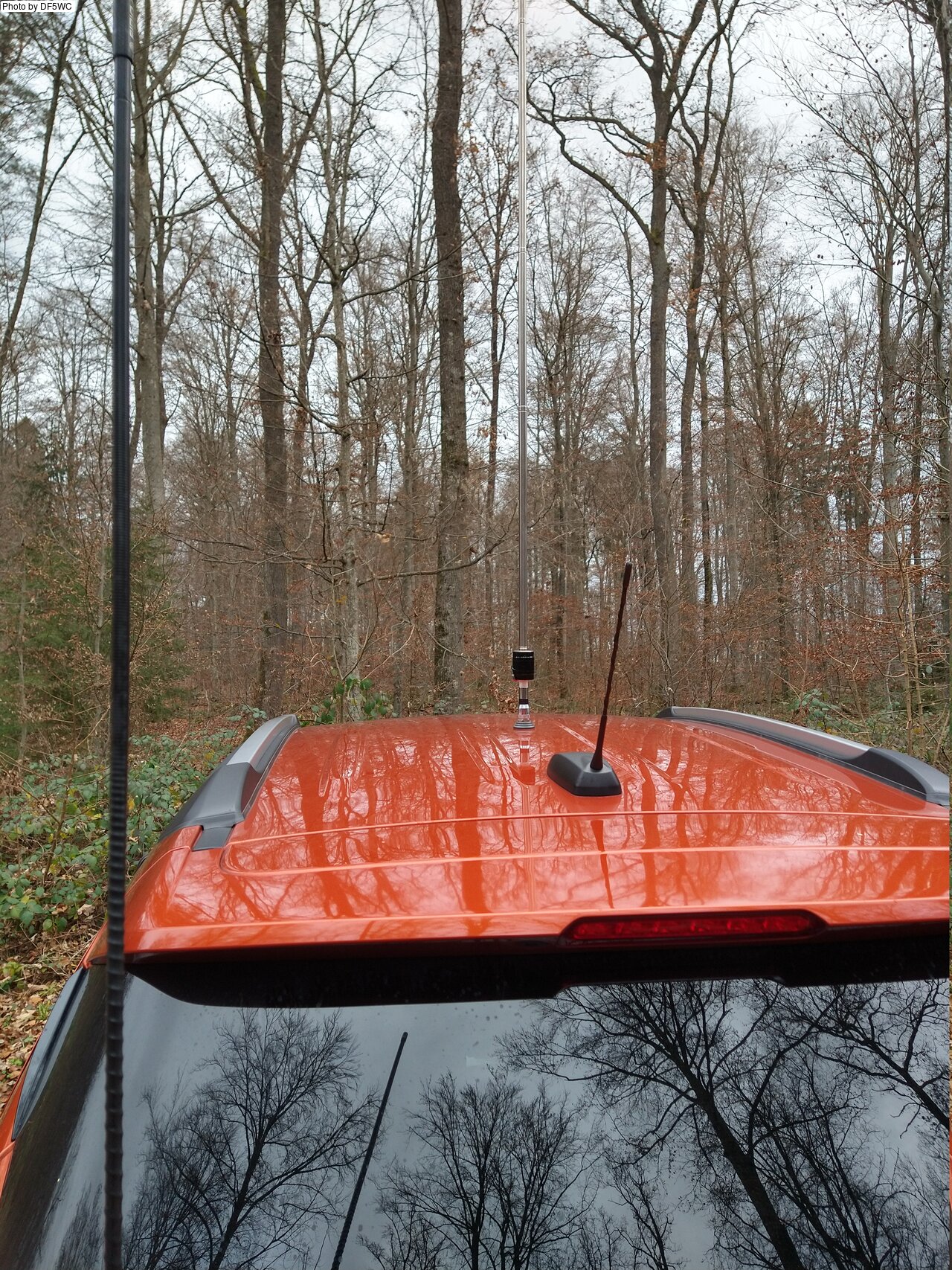 IMG_20241202_135657146_HDR.jpg