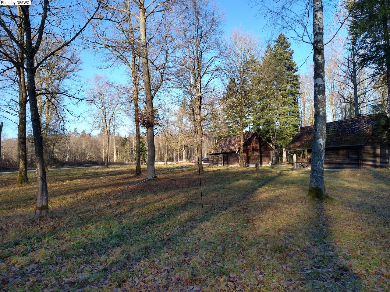 IMG_20250114_141953159_HDR.jpg
