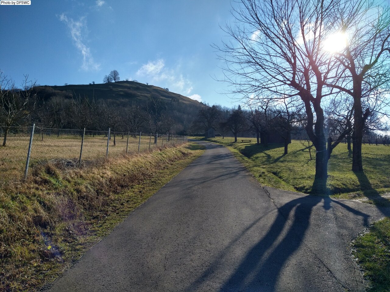 IMG_20250201_113807248_HDR.jpg