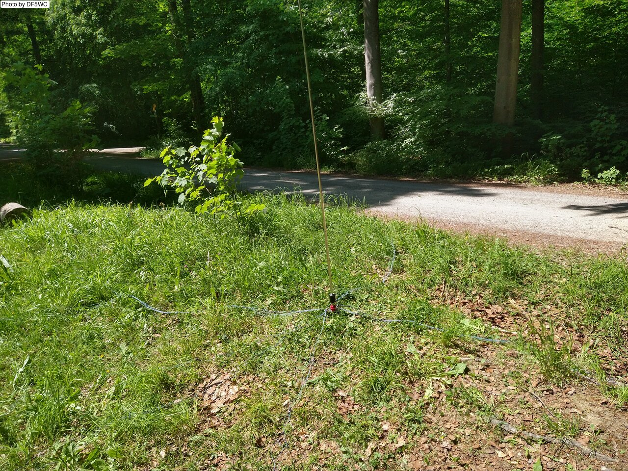 IMG_20250519_142942624_HDR.jpg