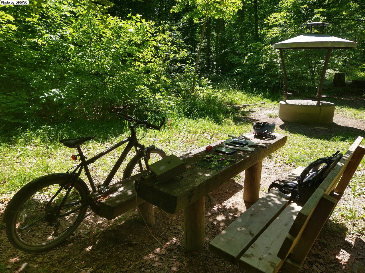 IMG_20250519_143001411_HDR.jpg