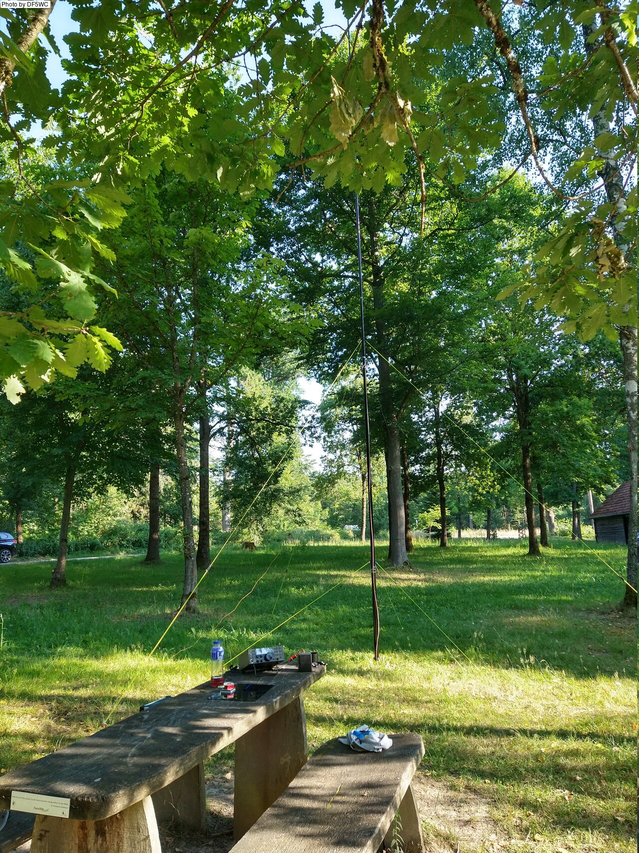 IMG_20250702_082343273_HDR.jpg