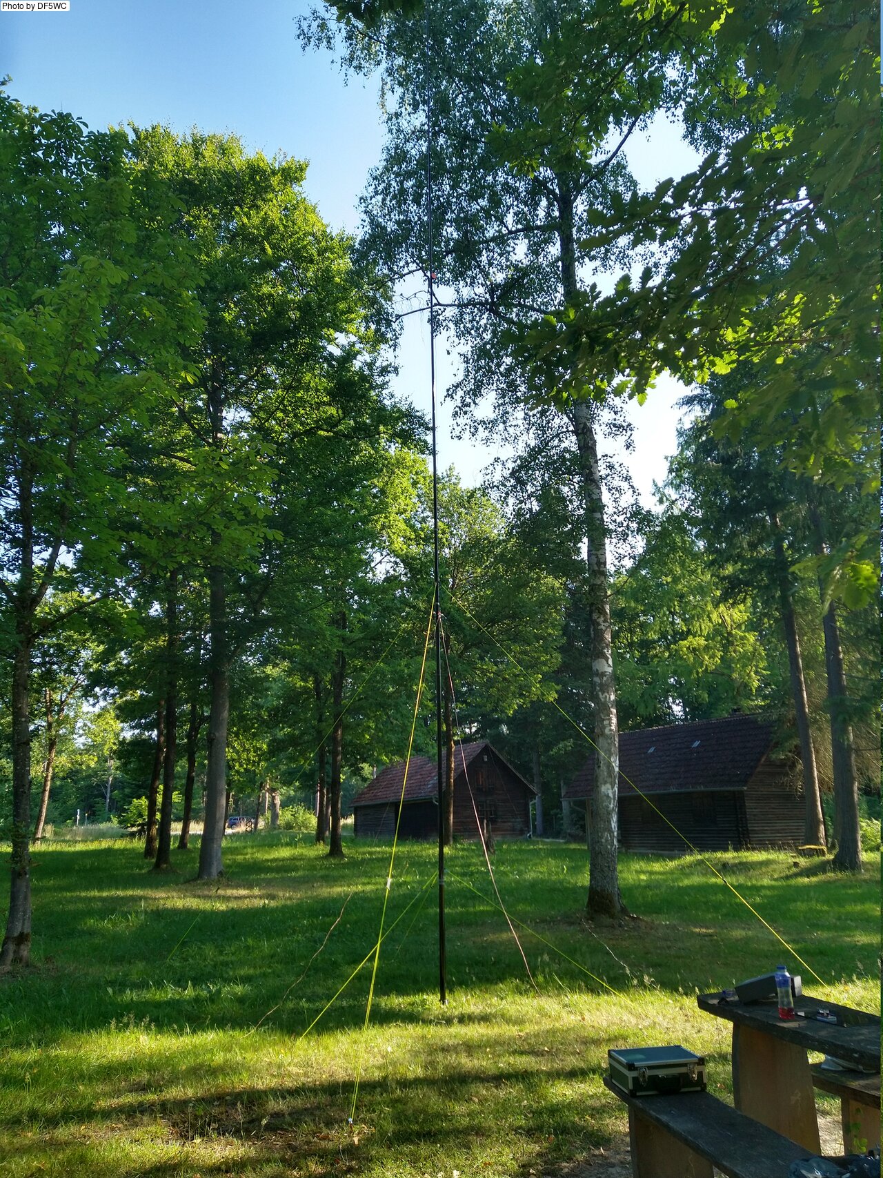 IMG_20250702_082355820_HDR.jpg