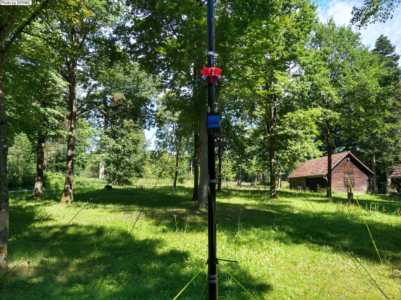IMG_20250808_114545011_HDR.jpg