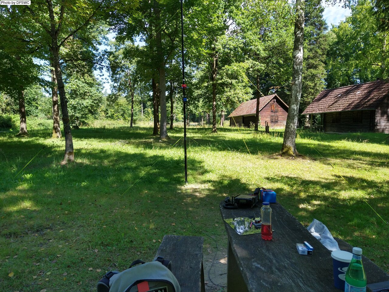 IMG_20250808_114600331_HDR.jpg