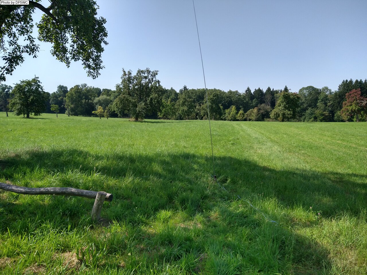 IMG_20250814_105505209_HDR.jpg