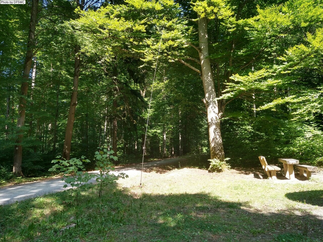 IMG_20250819_152440469_HDR.jpg