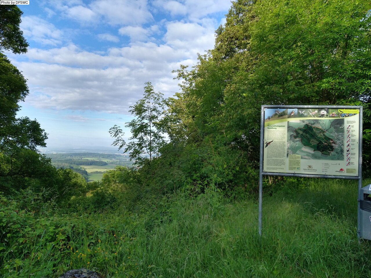 IMG_20260521_080657866_HDR.jpg
