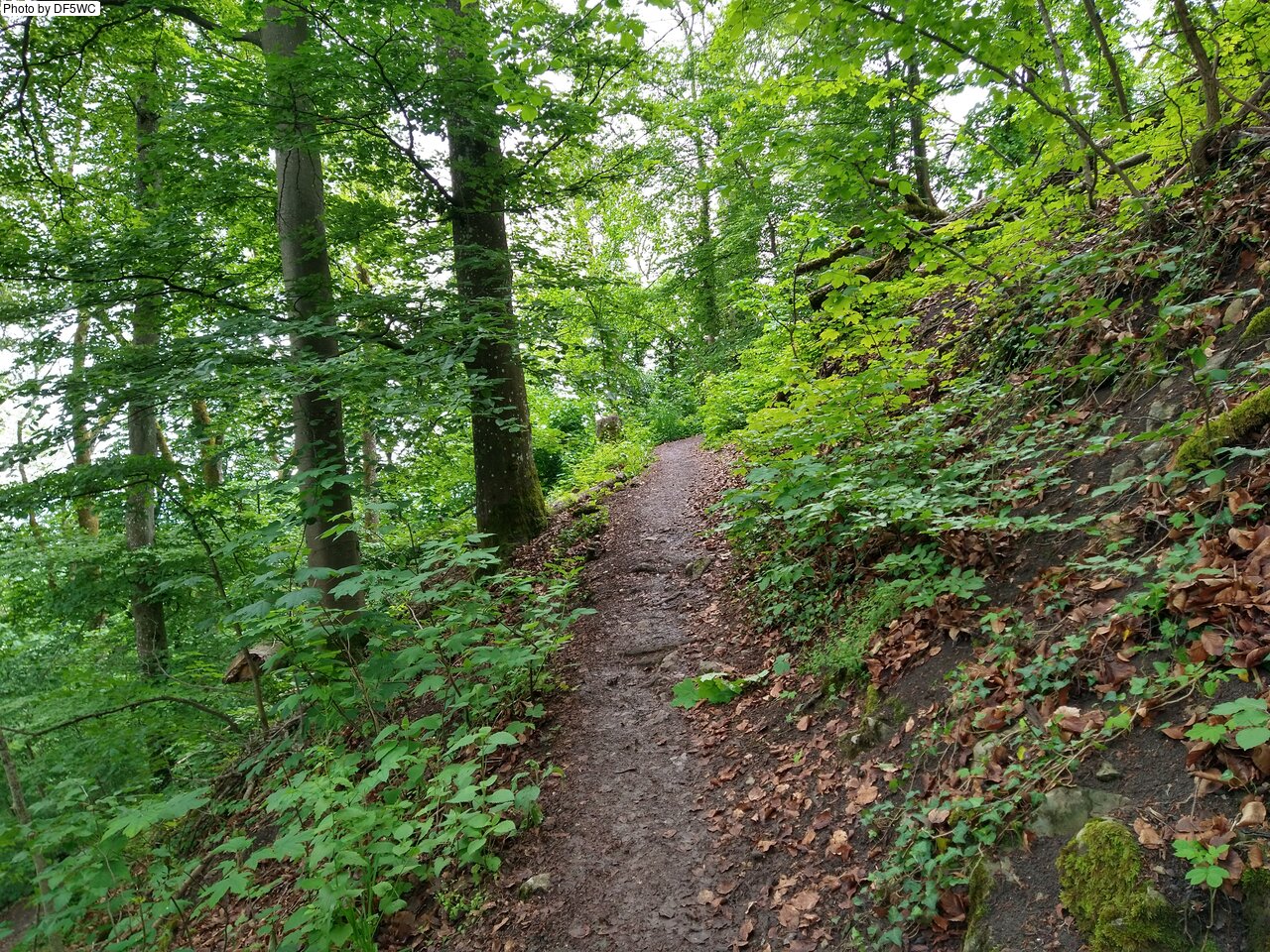 IMG_20260521_092118736_HDR.jpg