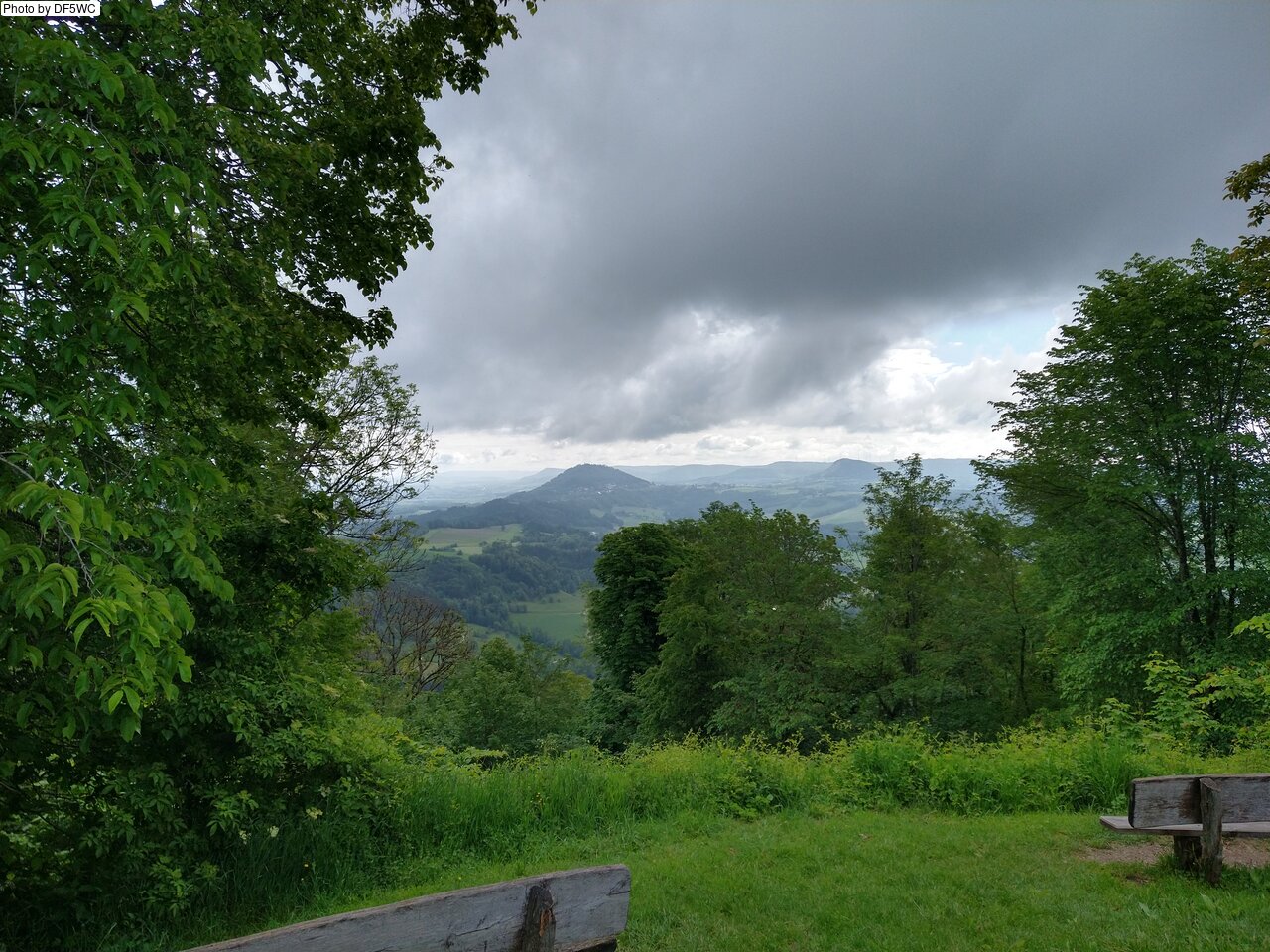 IMG_20260521_092532332_HDR.jpg