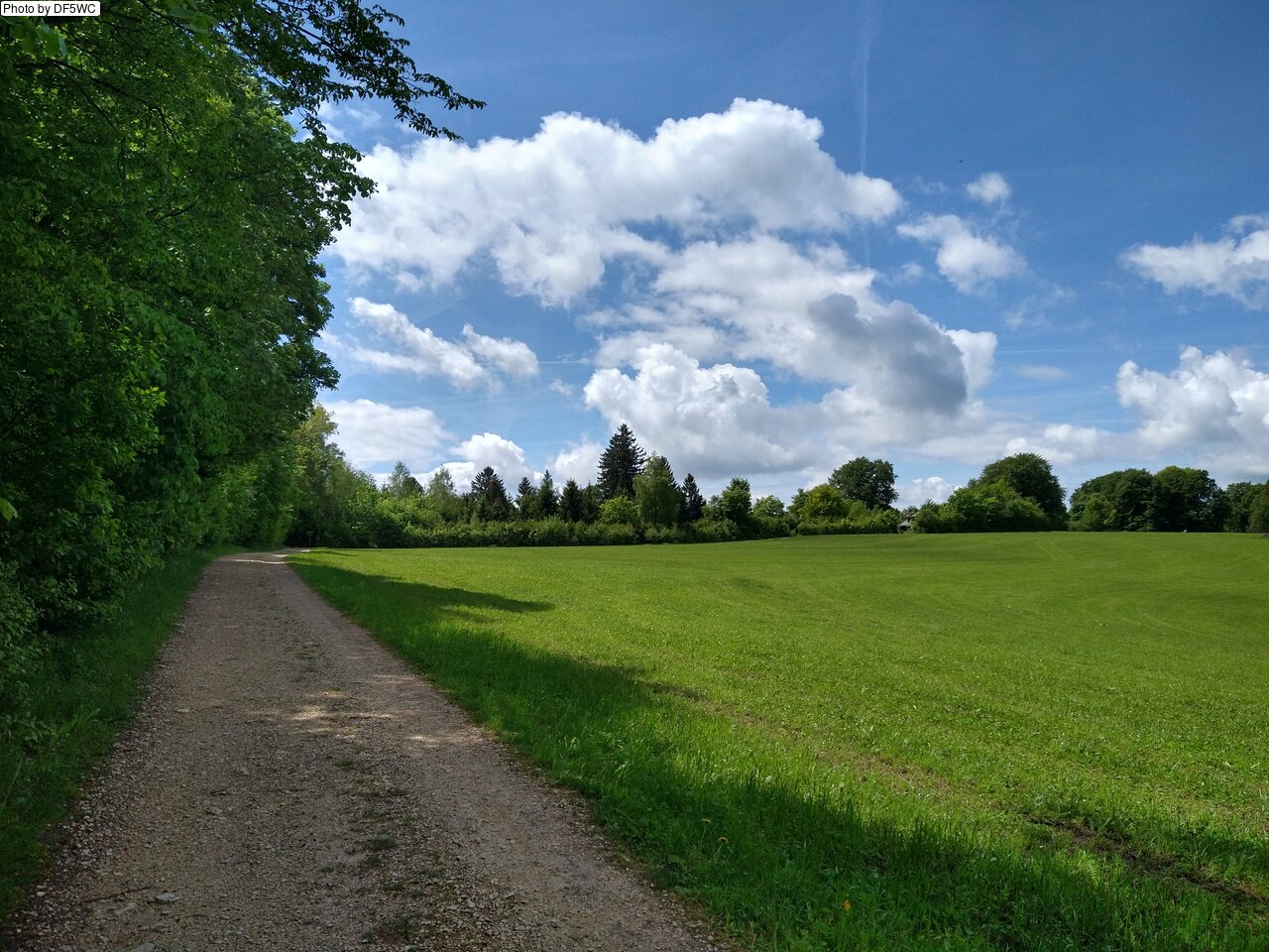 IMG_20260521_121850160_HDR.jpg