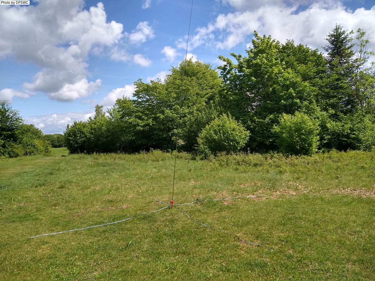 IMG_20260521_124908972_HDR.jpg