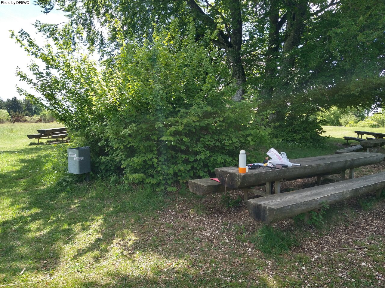 IMG_20260521_124920567_HDR.jpg