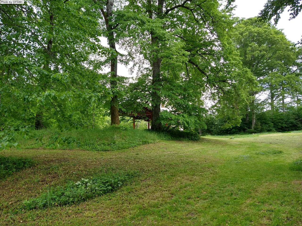 IMG_20260521_143036854_HDR.jpg