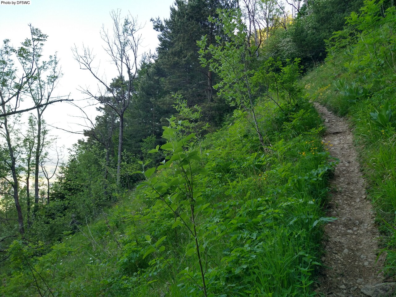 IMG_20260527_070027734_HDR.jpg