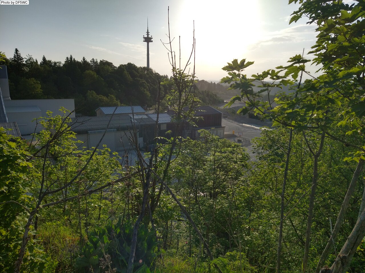 IMG_20260527_070314360_HDR.jpg