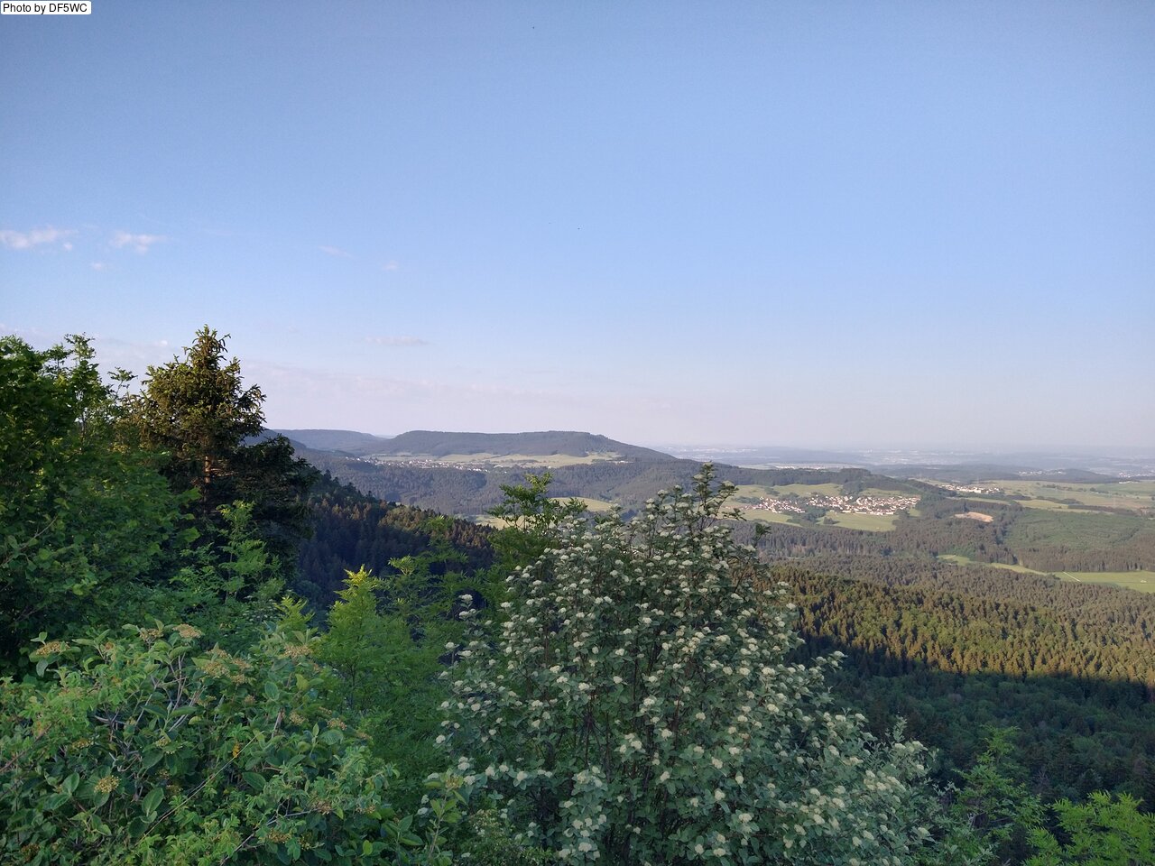 IMG_20260527_070449448_HDR.jpg