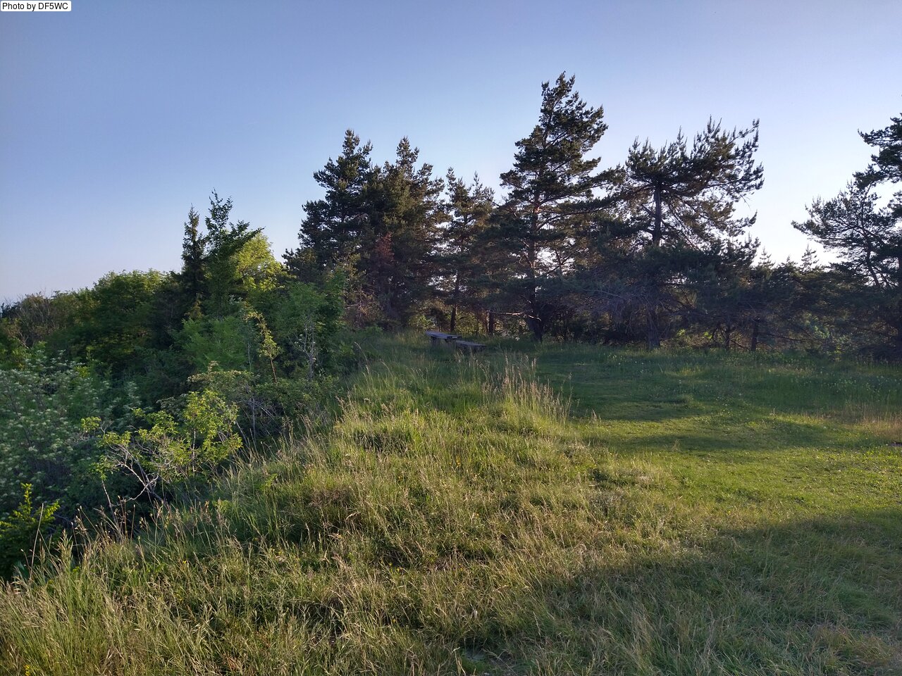 IMG_20260527_070453245_HDR.jpg