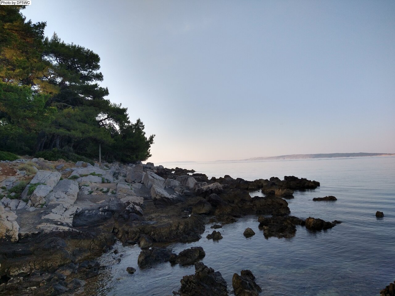 IMG_20260718_071712635_HDR.jpg