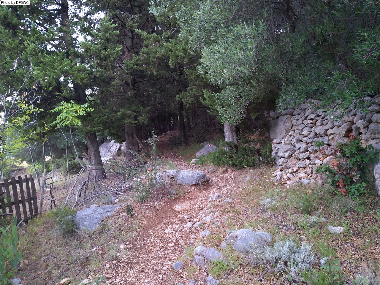 IMG_20260722_053851896.jpg