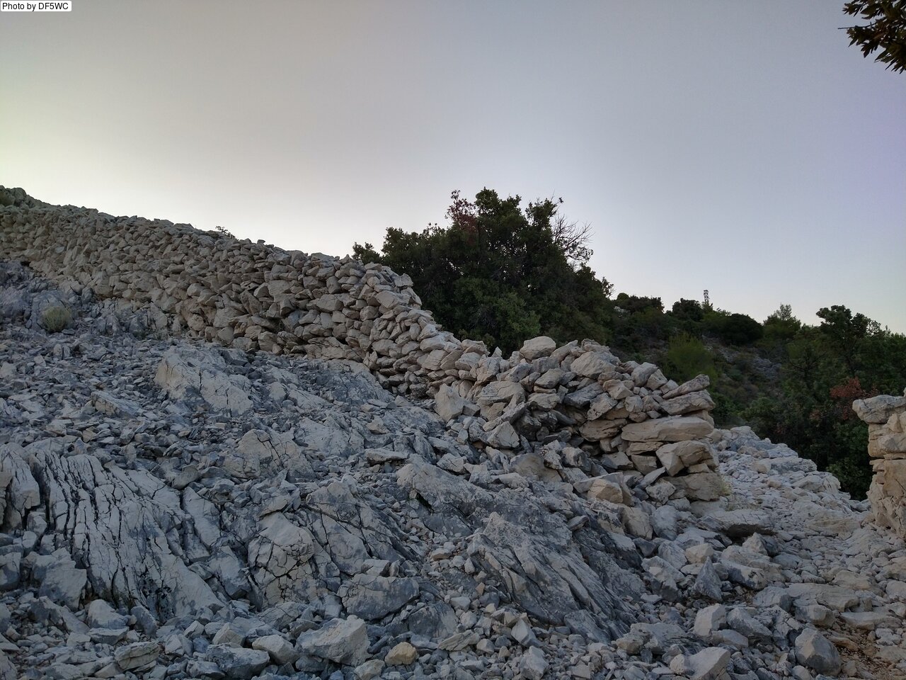 IMG_20260722_055452937_HDR.jpg