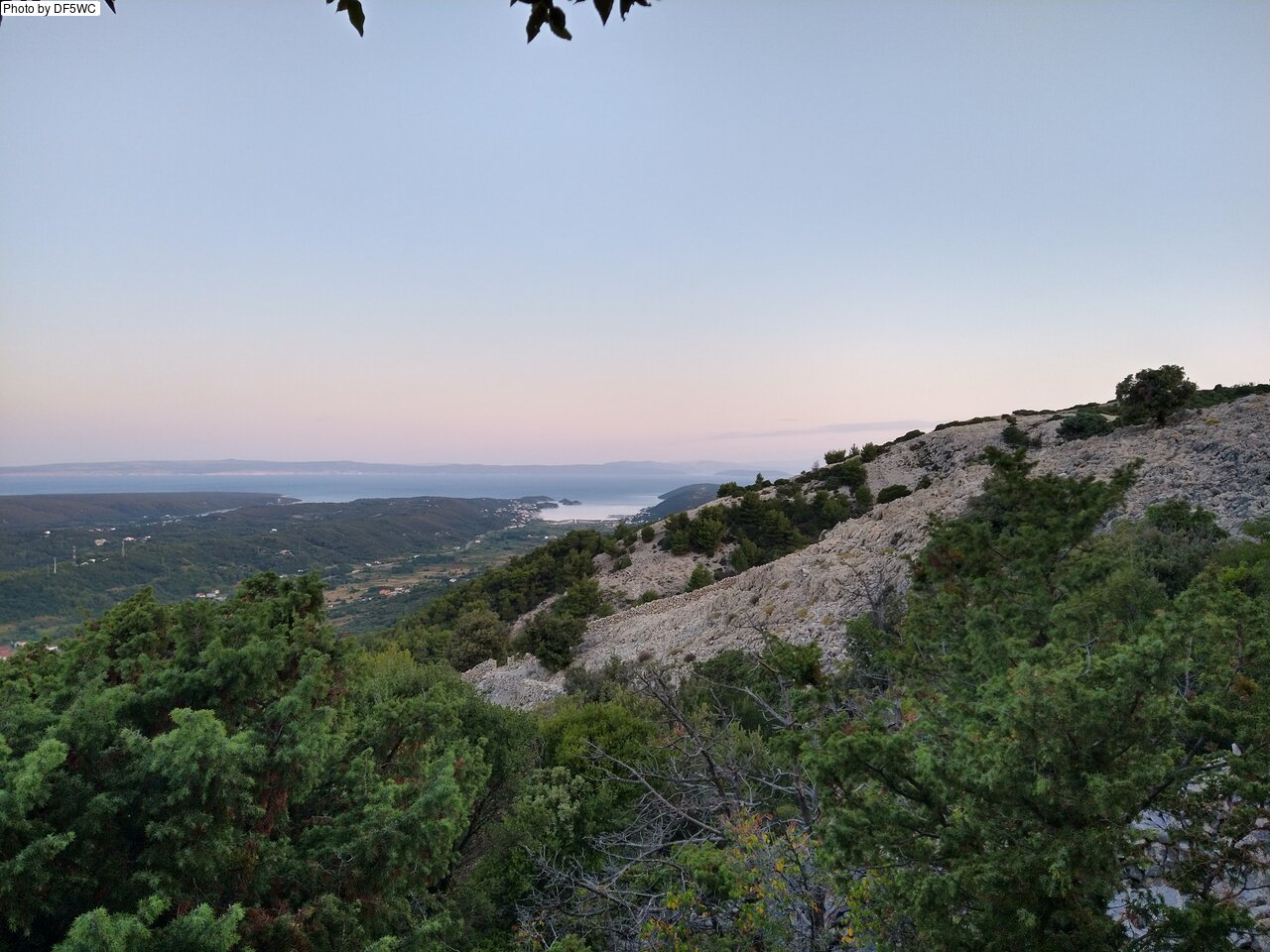 IMG_20260722_055717169_HDR.jpg