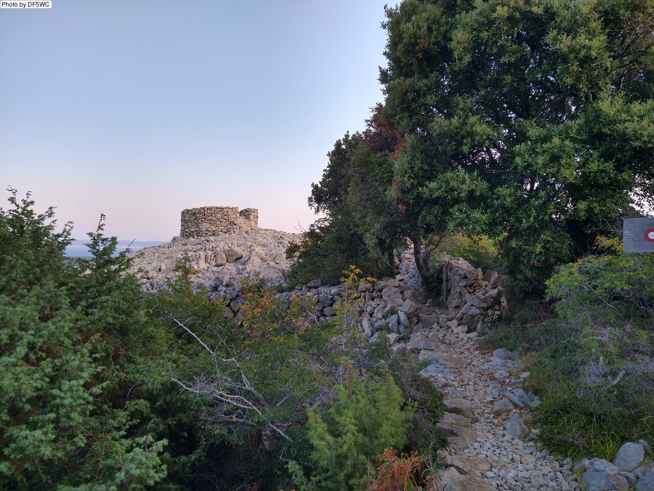 IMG_20260722_055907427_HDR.jpg