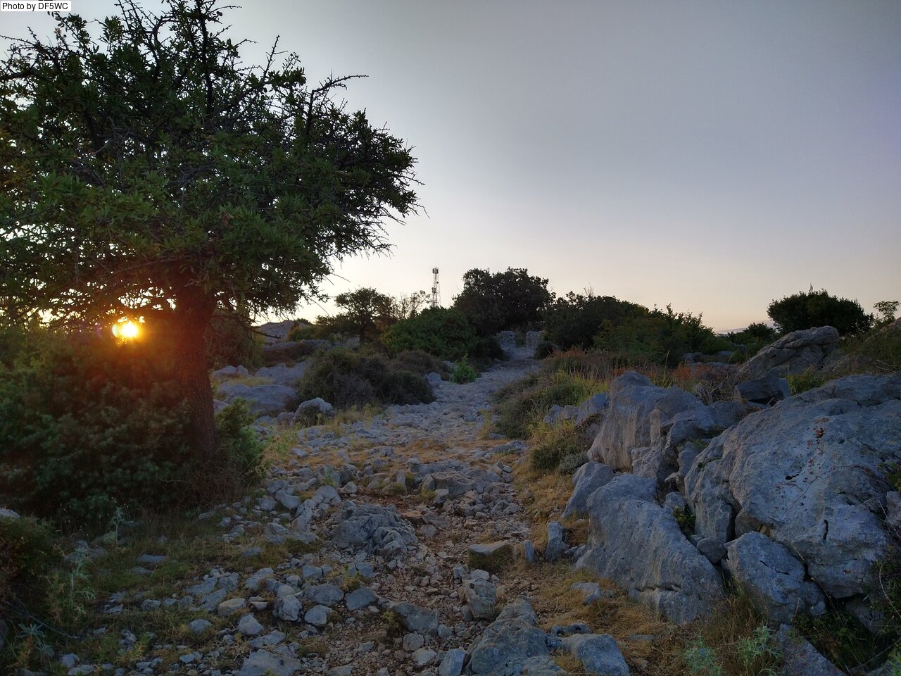 IMG_20260722_060840824_HDR.jpg