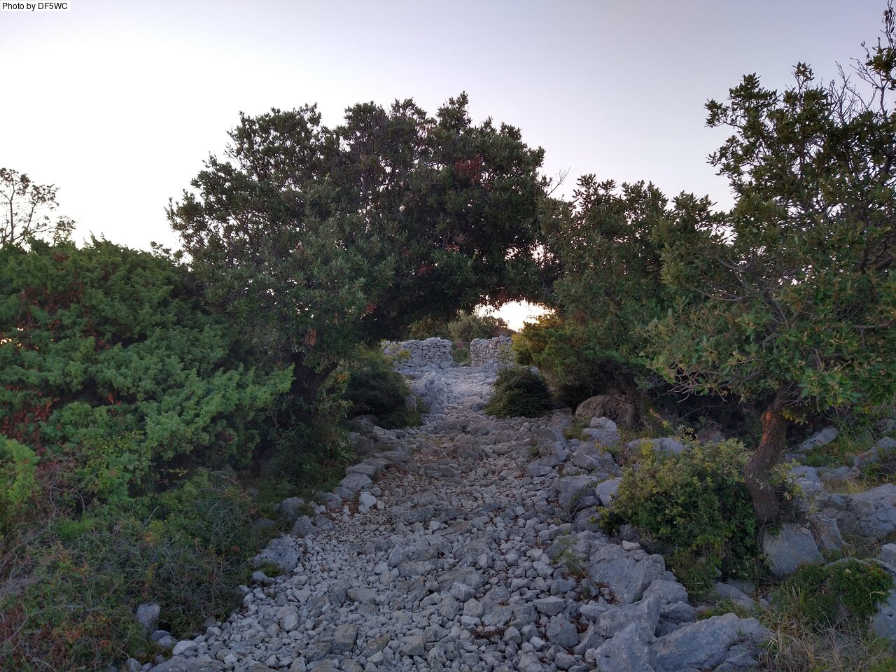 IMG_20260722_060909214_HDR.jpg