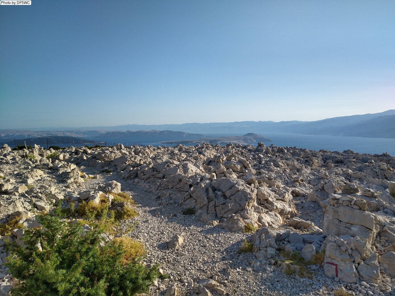IMG_20260722_072346153_HDR.jpg