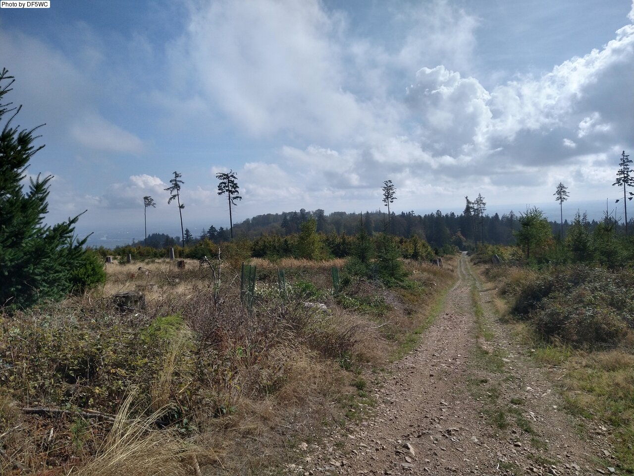 IMG_20261002_125643436_HDR.jpg