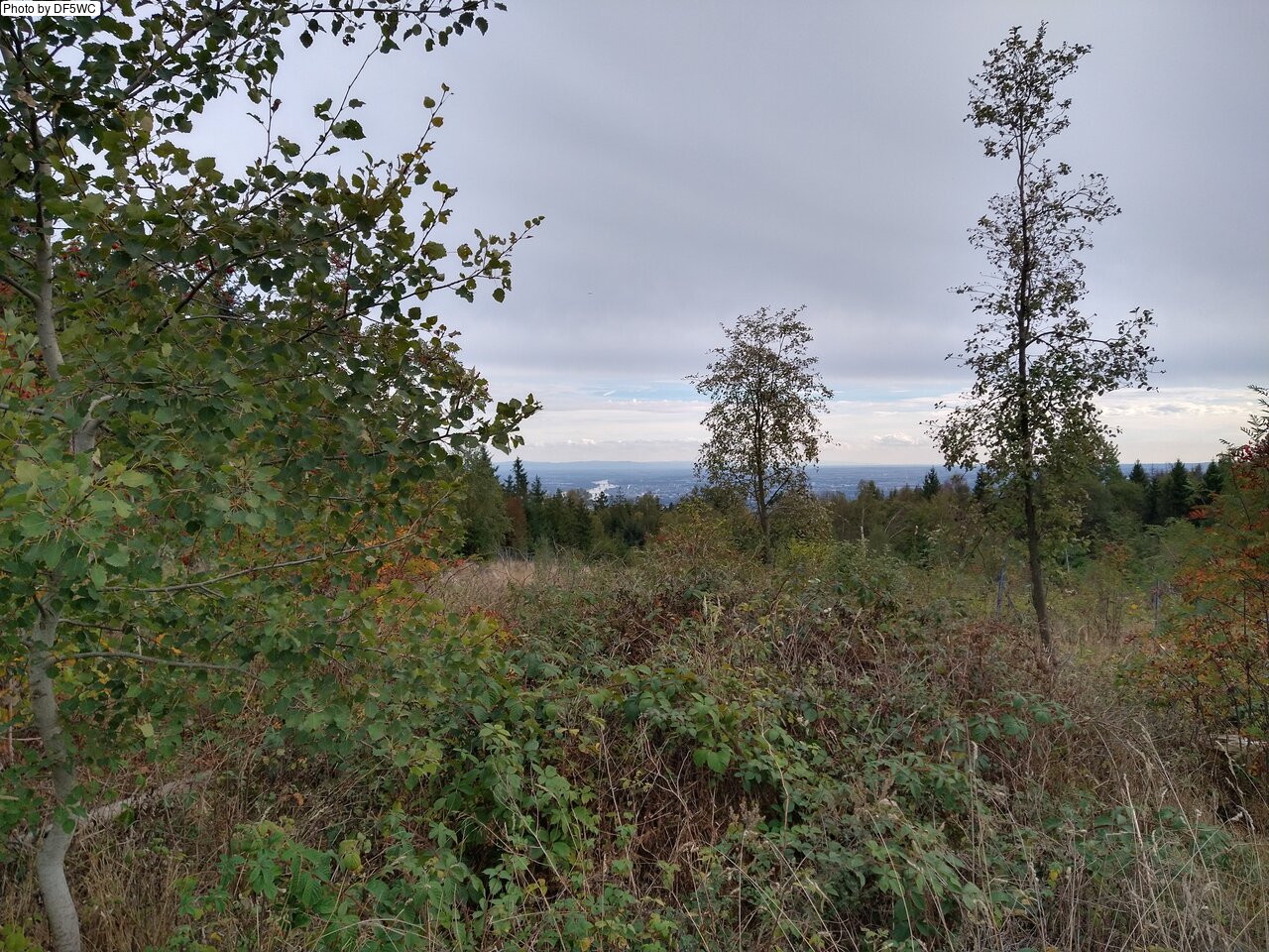 IMG_20261004_151245889_HDR.jpg