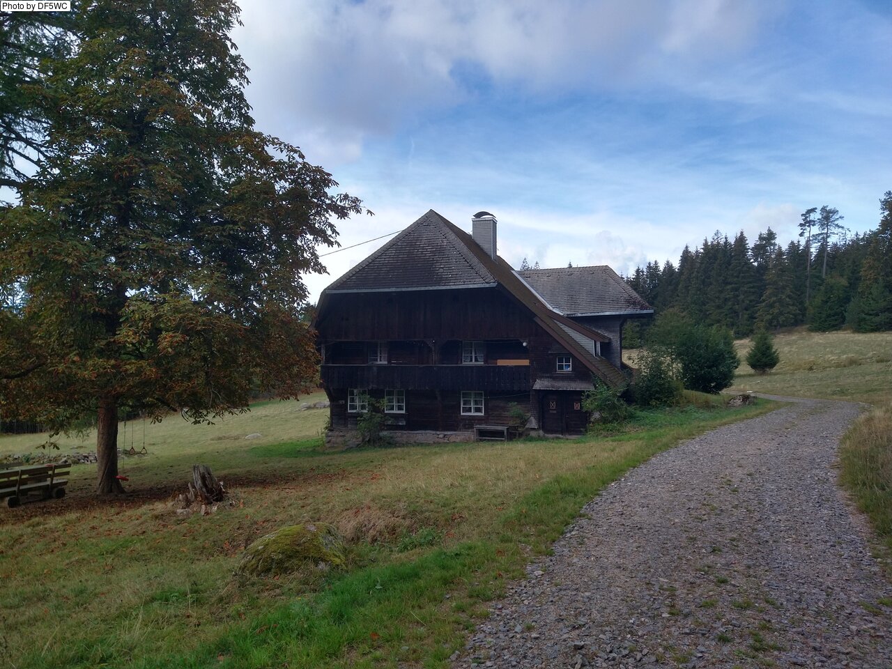 IMG_20261014_123325858_HDR.jpg