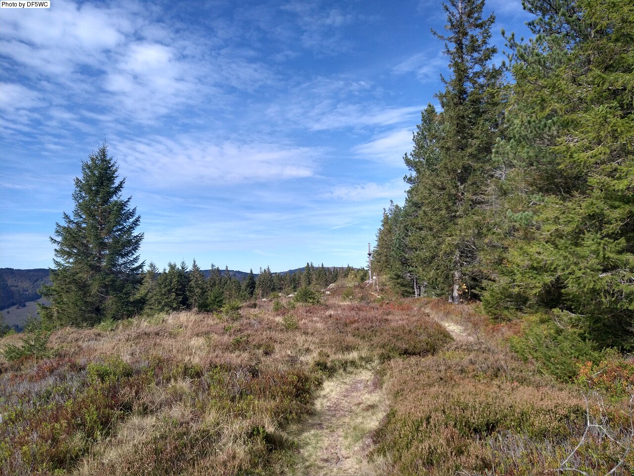 IMG_20261015_124437220_HDR.jpg