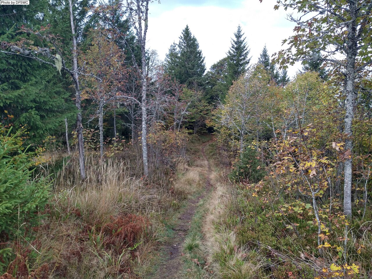 IMG_20261016_104759475_HDR.jpg