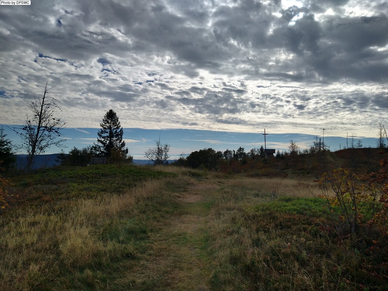 IMG_20261016_105055569_HDR.jpg