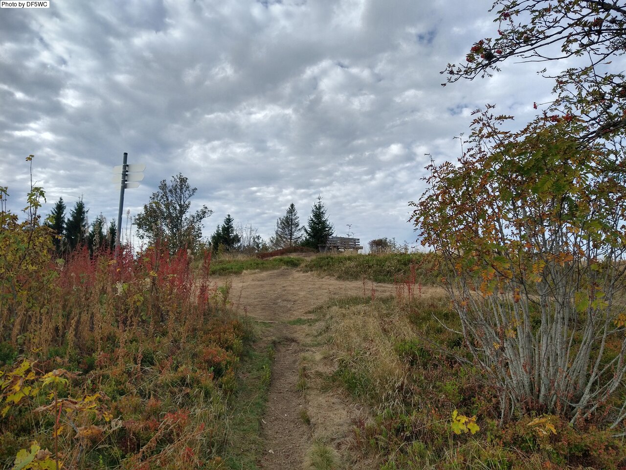 IMG_20261016_110239312_HDR.jpg