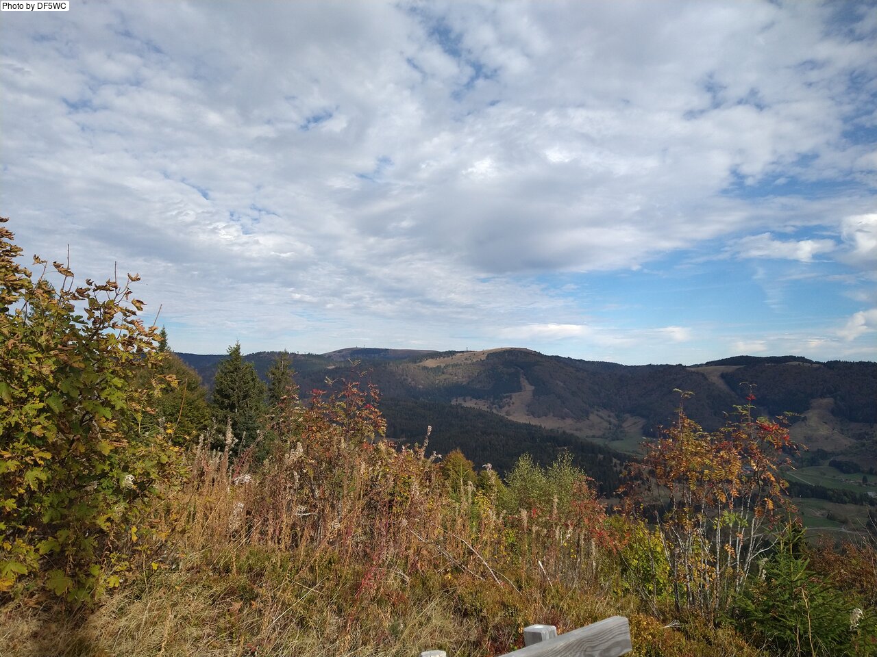 IMG_20261016_114909452.jpg