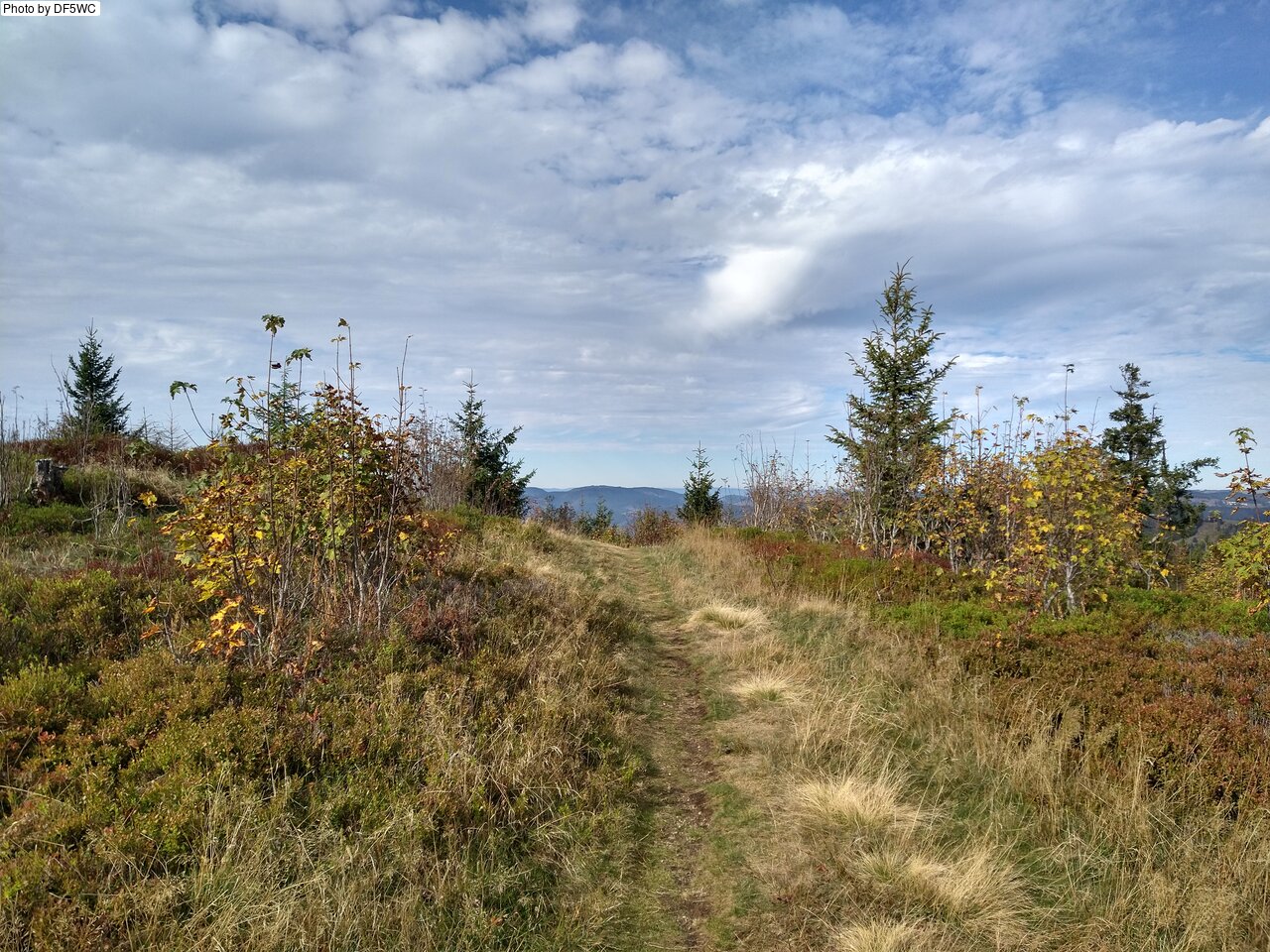 IMG_20261016_121921067_HDR.jpg