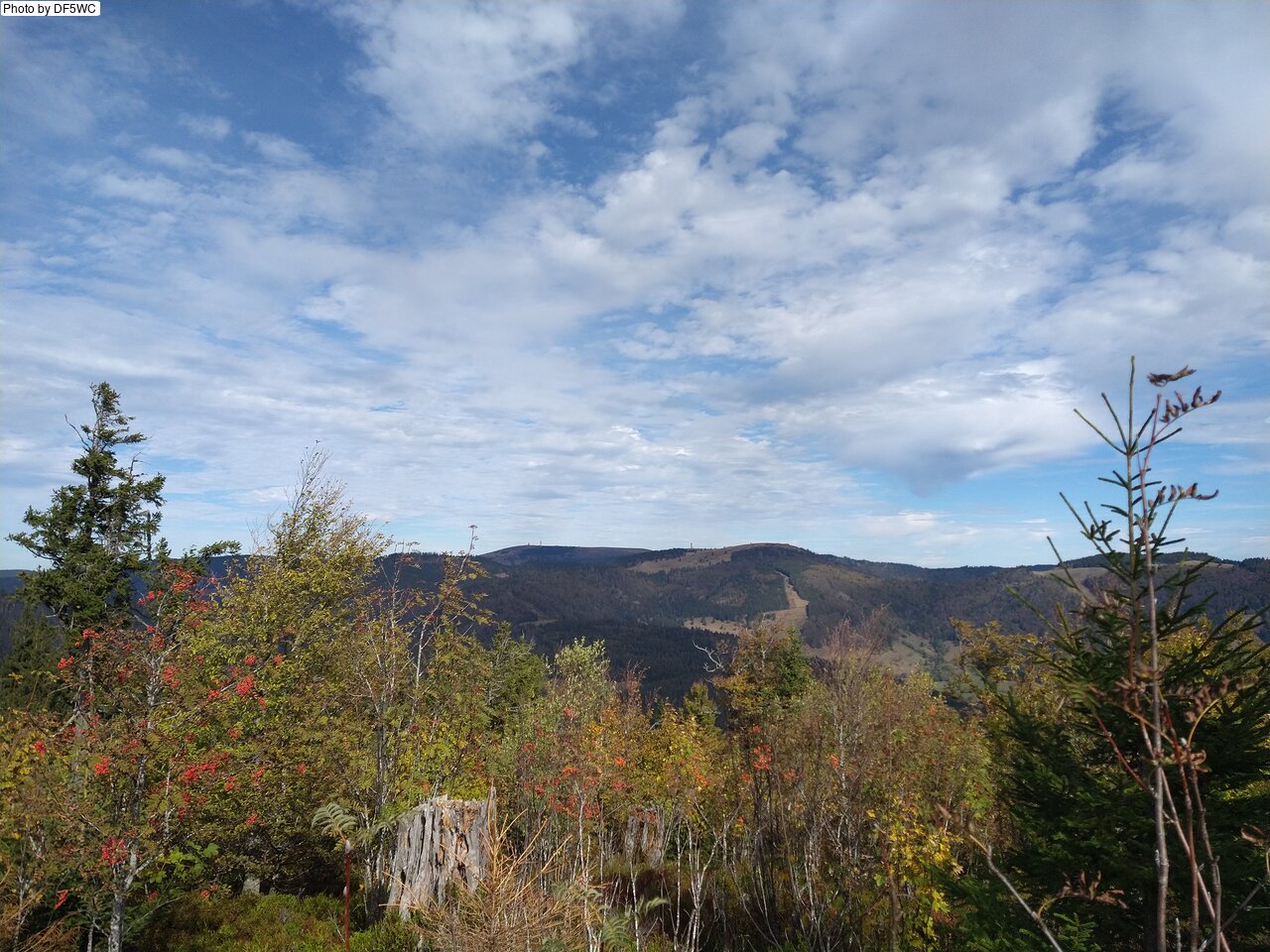 IMG_20261016_121945254.jpg